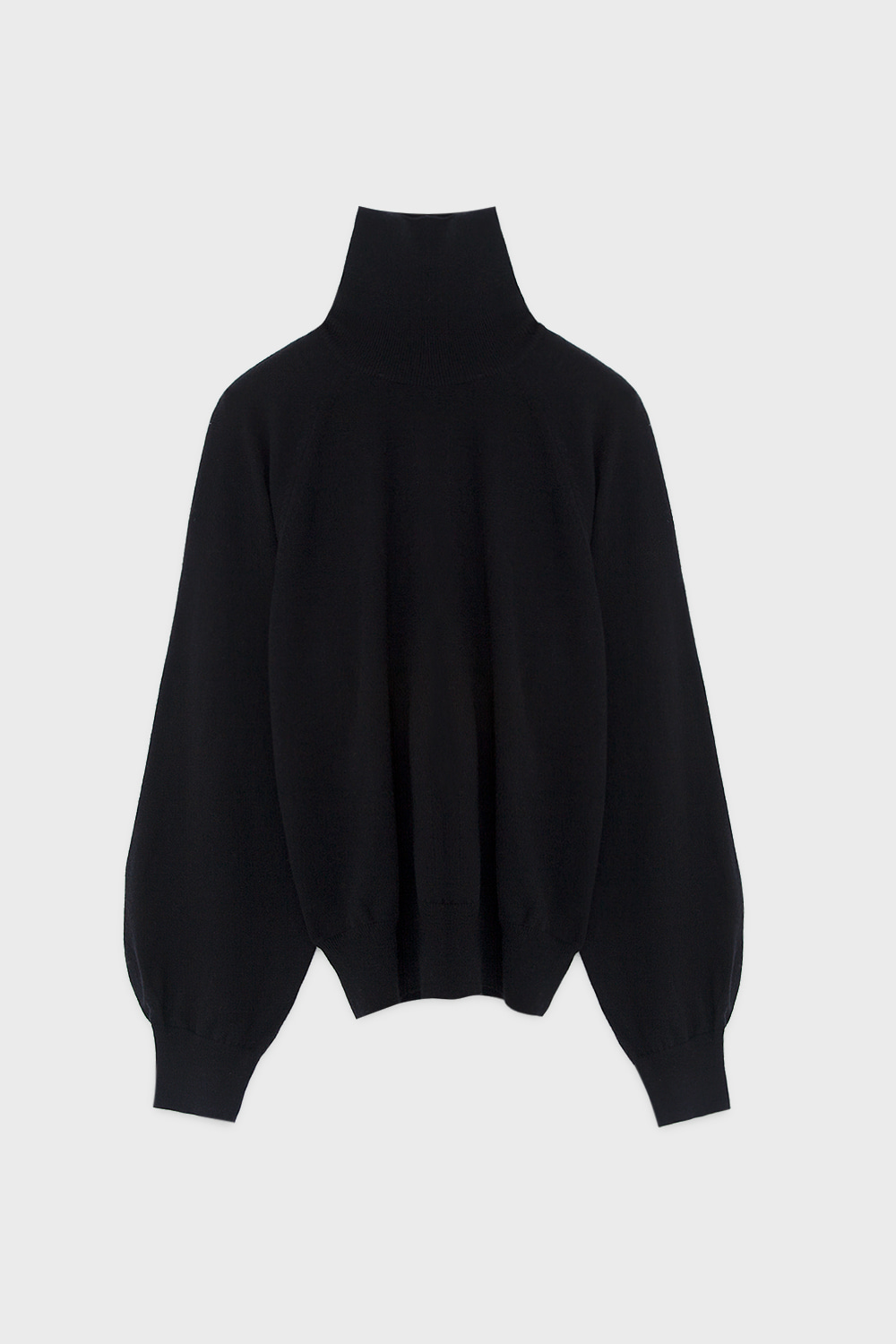 Turtleneck Sweater Black
